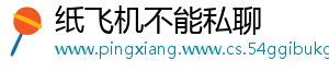 纸飞机不能私聊